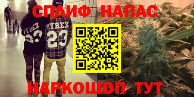 крисы Бузулук