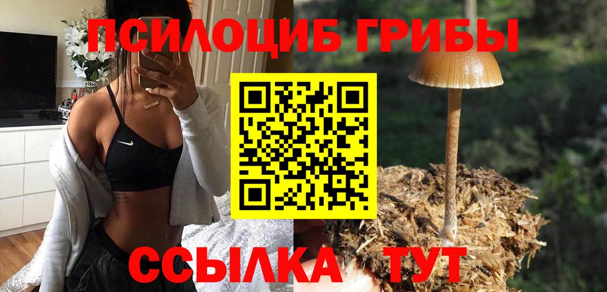 Псилоцибиновые грибы ЛСД  Вход с VPN  закладки  Печора 