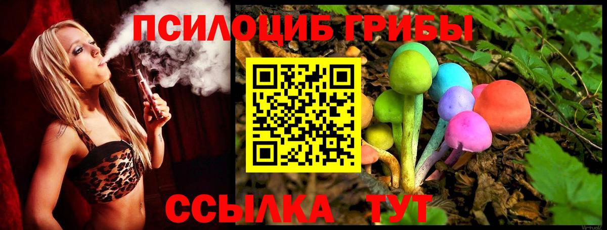 Галлюциногенные грибы прущие грибы Печора